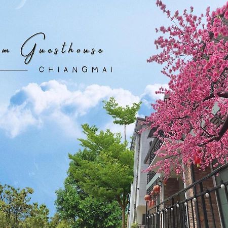 Bloom Guesthouse Chiang Mai Esterno foto